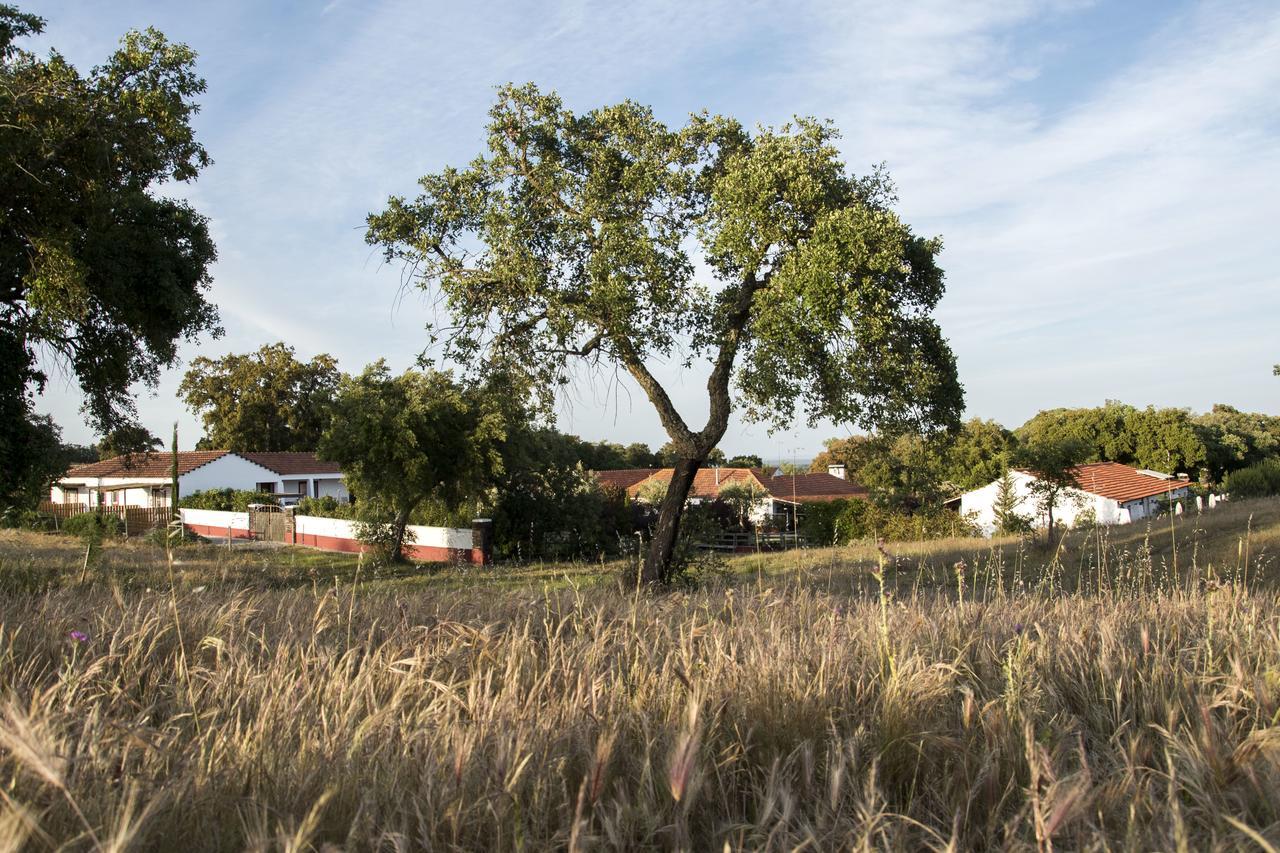 Herdade Das Barradas Da Serra Грандола Экстерьер фото